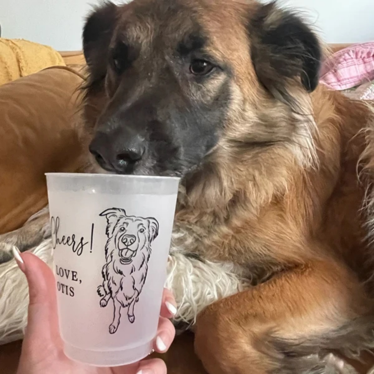10/50 Kişiselleştirilmiş Mezun - Plastic Cup 50Pcs incelemesi ve fiyatı